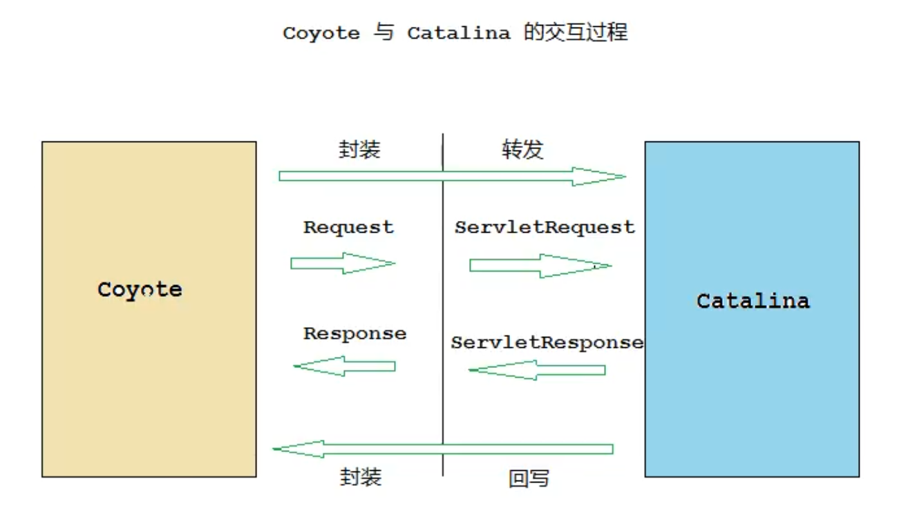Coyote 与 Catalina 交互